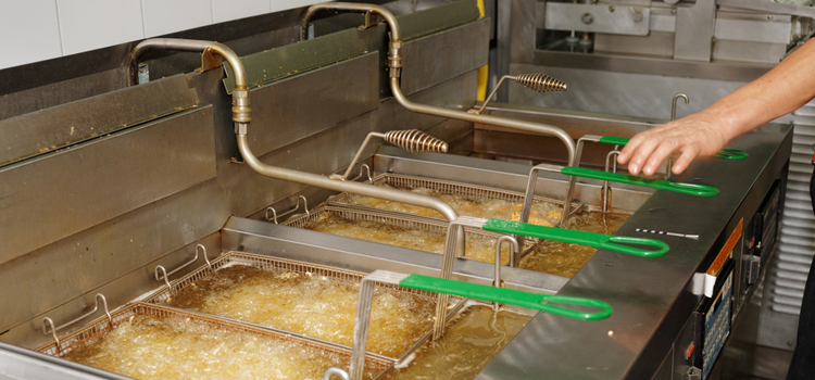 Commercial Fryer Repair in Hamilton