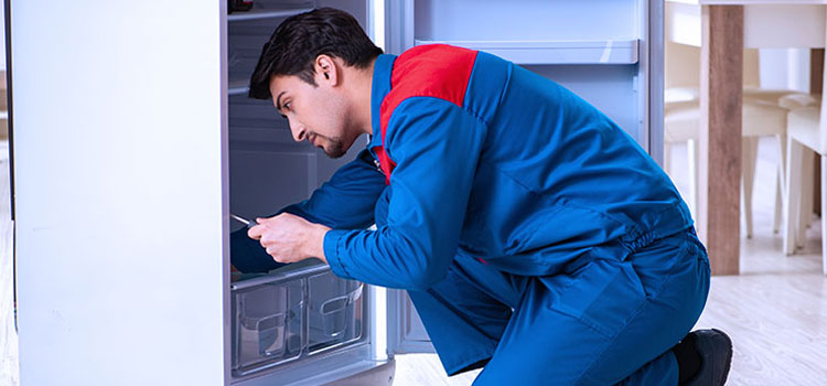 Freezer Repair Services in Hamilton